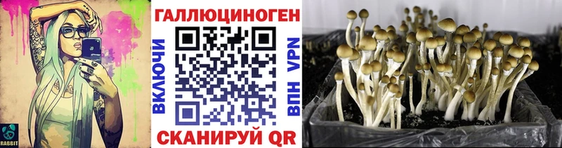 Галлюциногенные грибы Cubensis  Покров 