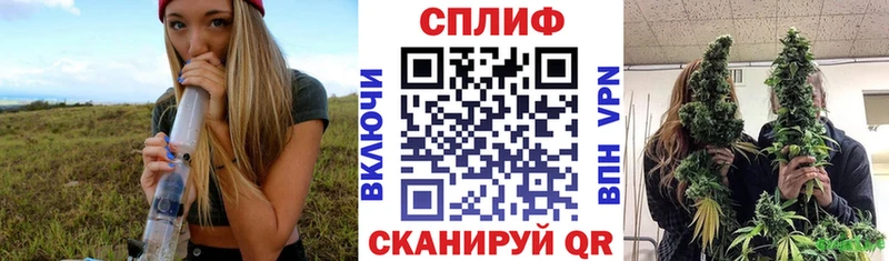 Конопля Amnesia Покров